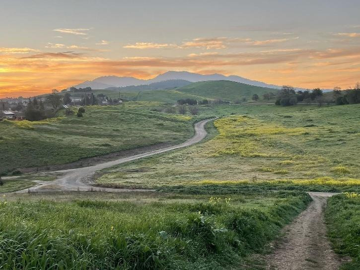 Oh, Lime Ridge, You Are a Beauty. – The Hungry Chromosome Book 1 – by Susiani Djauhari Tan
